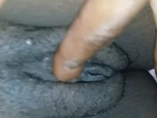 Cuckoldas filmuoja,  ...